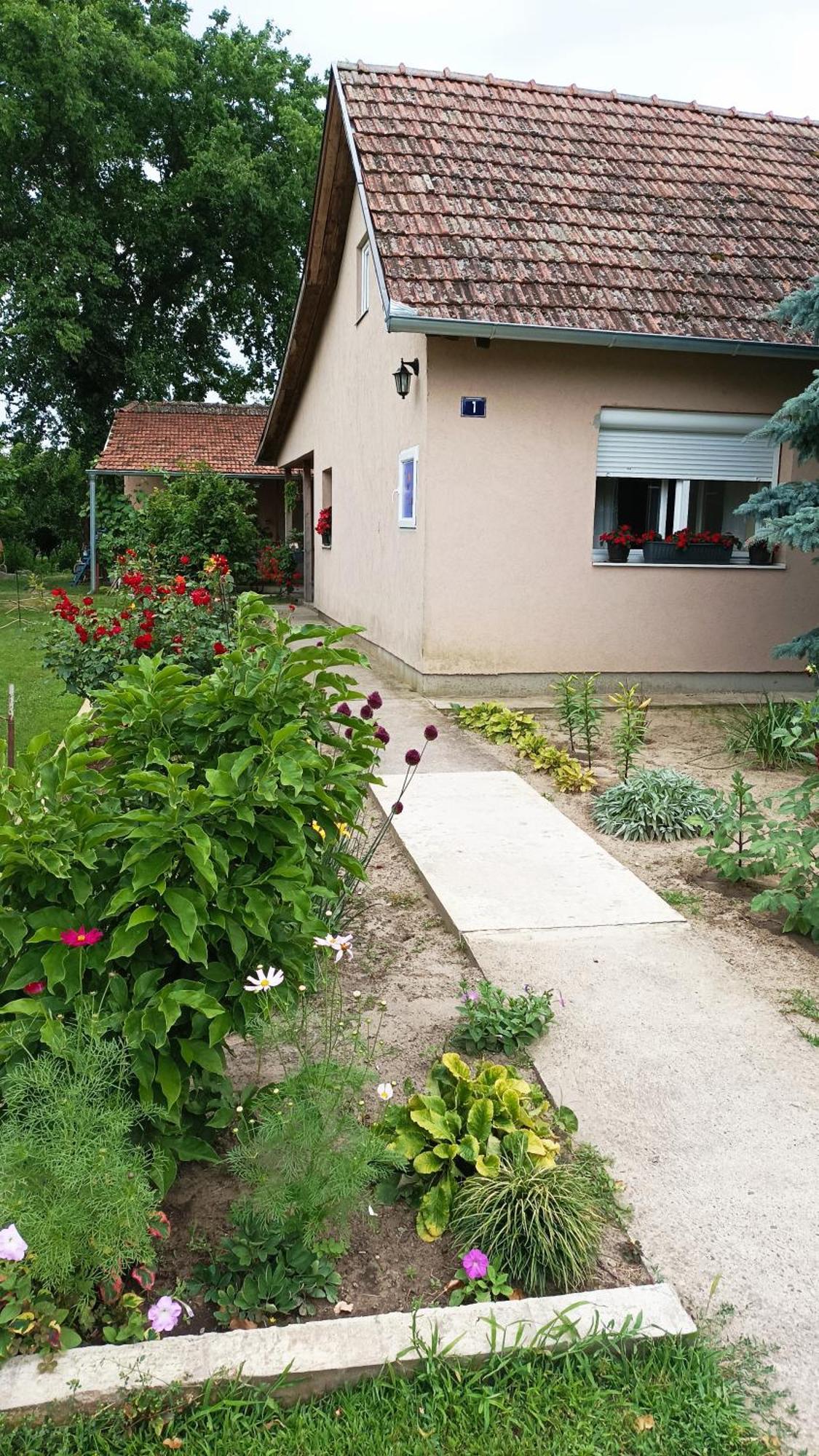 Sobe Masa Pension Subotica Buitenkant foto
