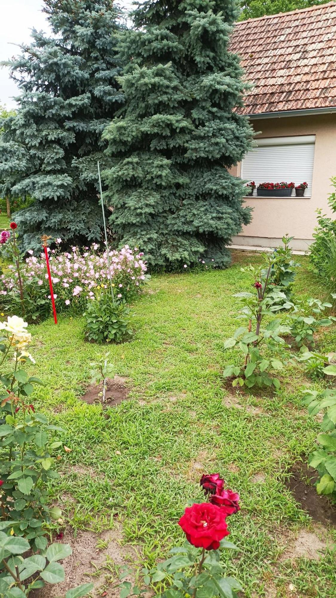 Sobe Masa Pension Subotica Buitenkant foto