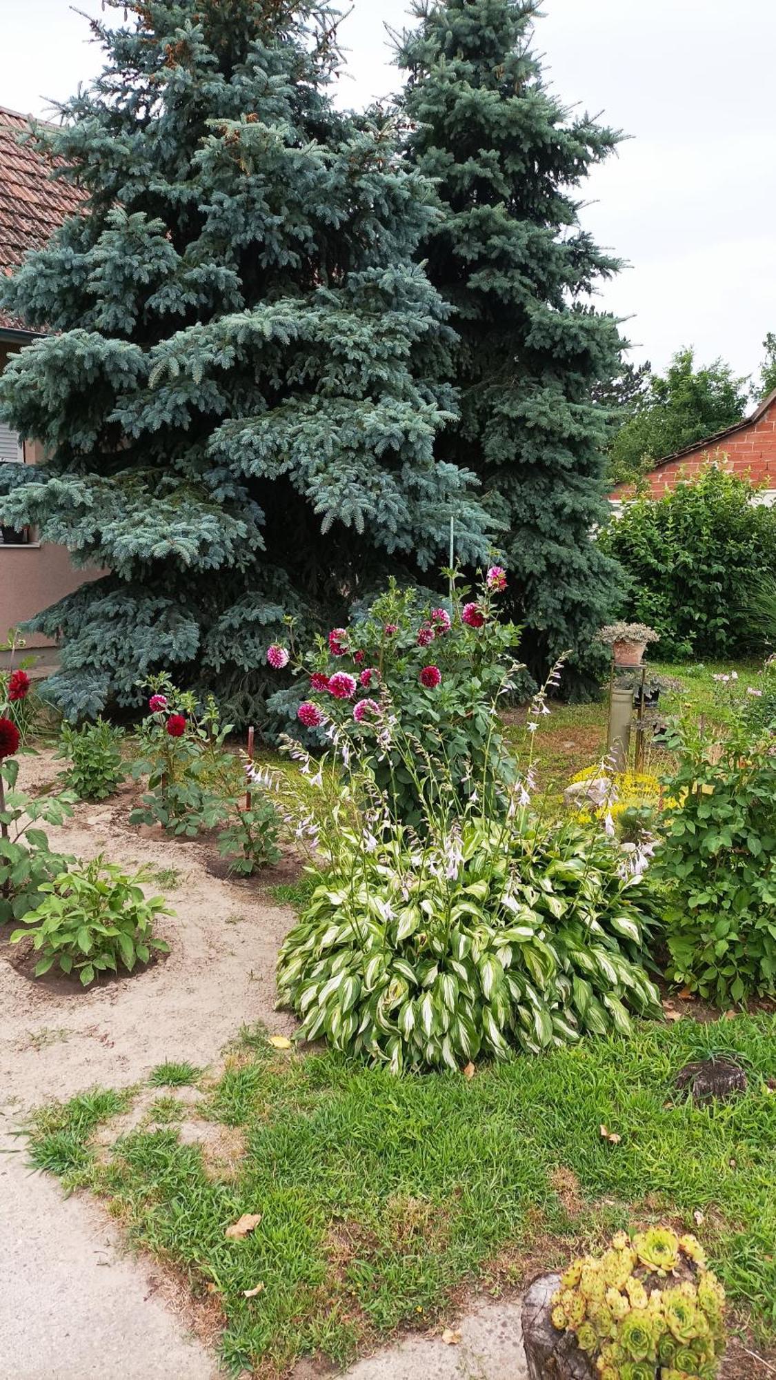 Sobe Masa Pension Subotica Buitenkant foto