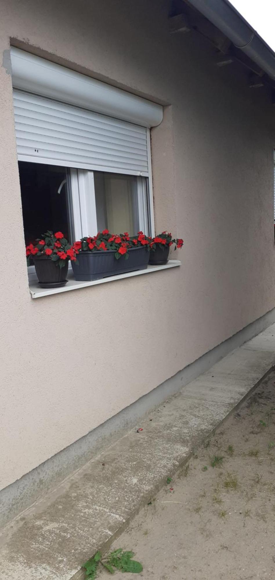 Sobe Masa Pension Subotica Buitenkant foto