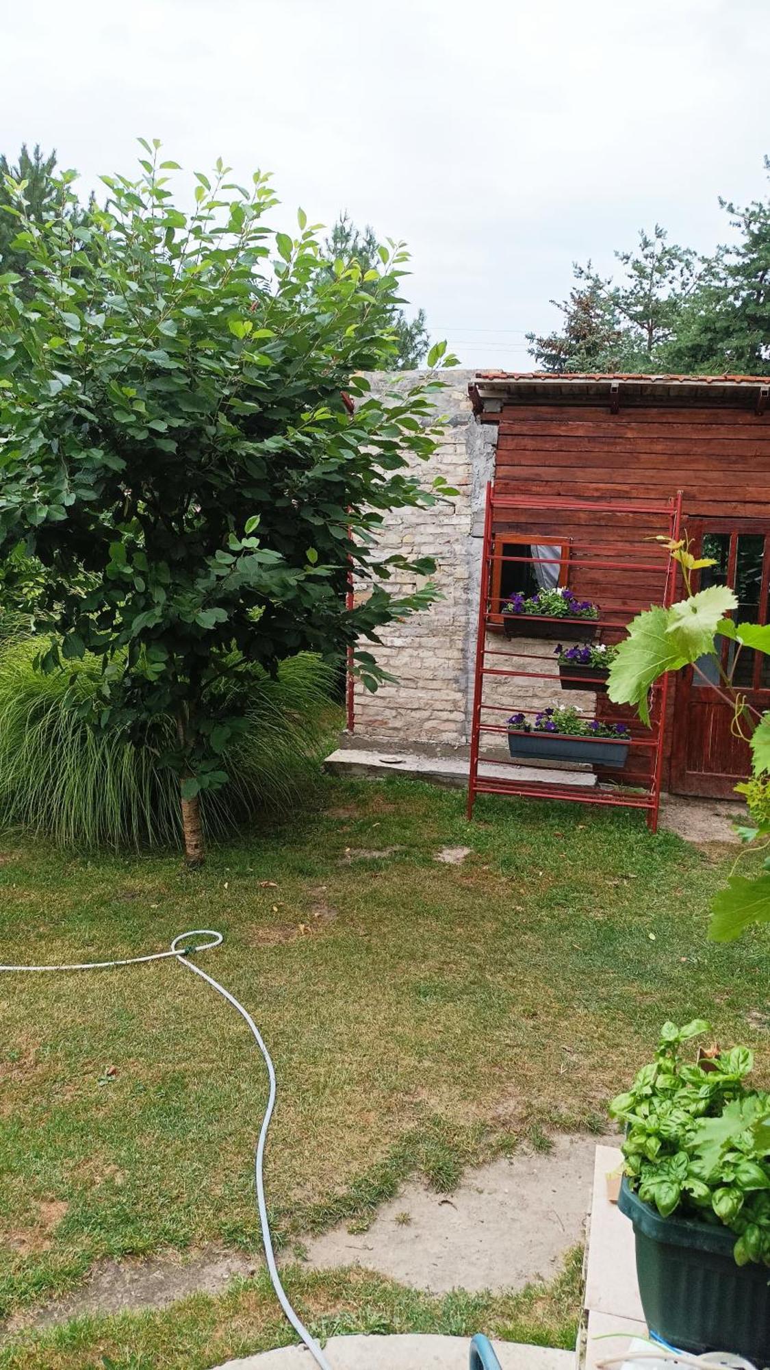 Sobe Masa Pension Subotica Buitenkant foto